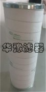 PALL颇尔滤芯HC0171FKN16H