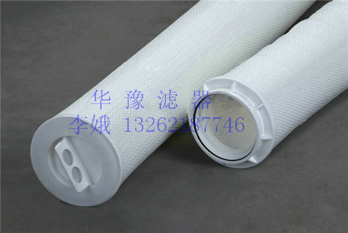 RHF050EH 大流量水滤芯