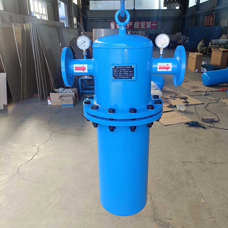 mg冰球突破十大平台生产供应DN65滤芯式汽水分离器 可更换滤芯